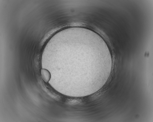 X0000110890155200907301551