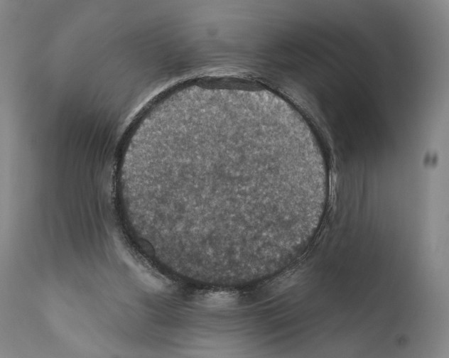 X0000110890156200907301551