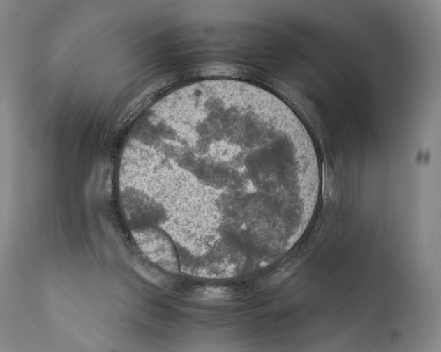X0000110890157200907301551