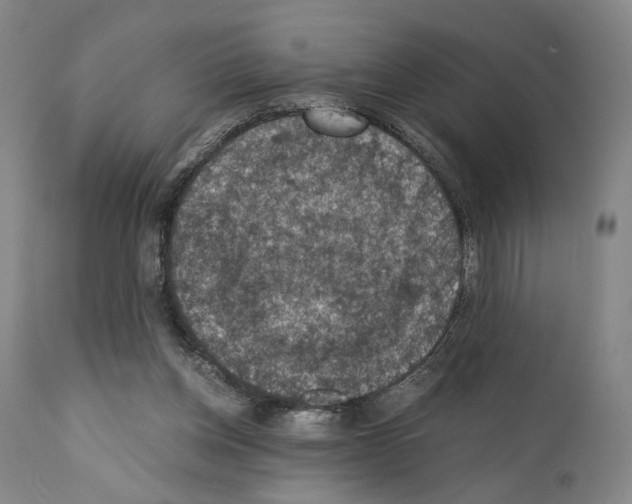 X0000110890158200907301551