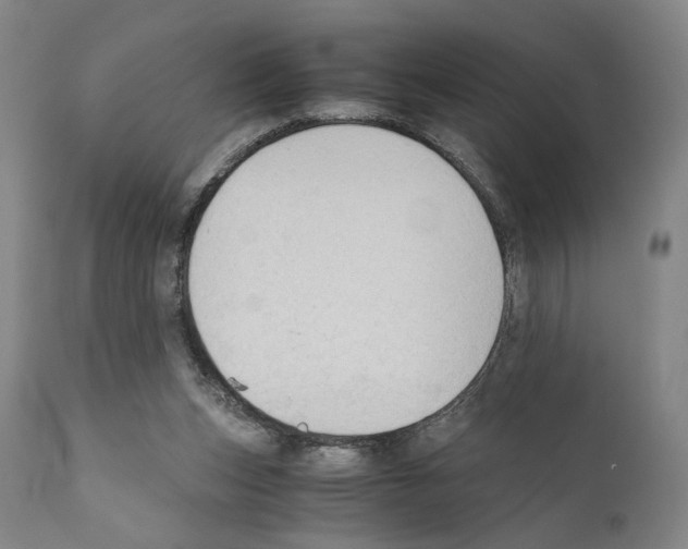 X0000110890159200907301551