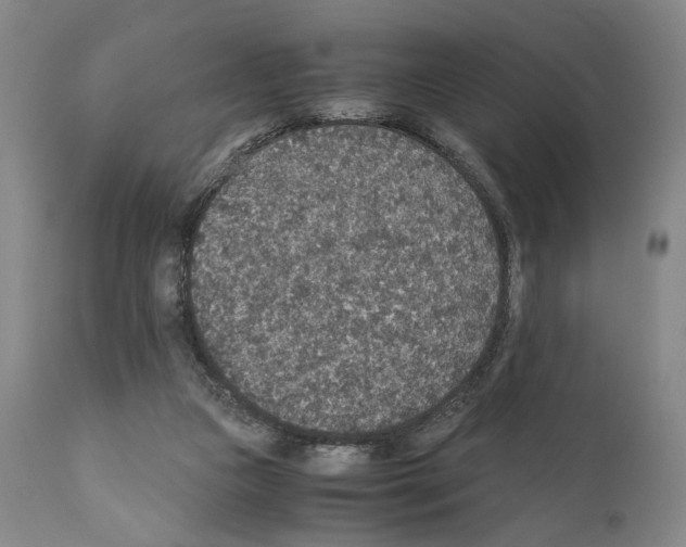X0000110890161200907301551