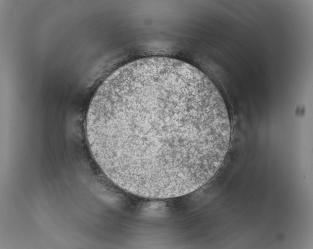 X0000110890162200907301551