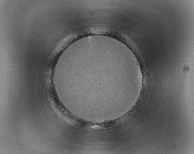 X0000110890163200907301551
