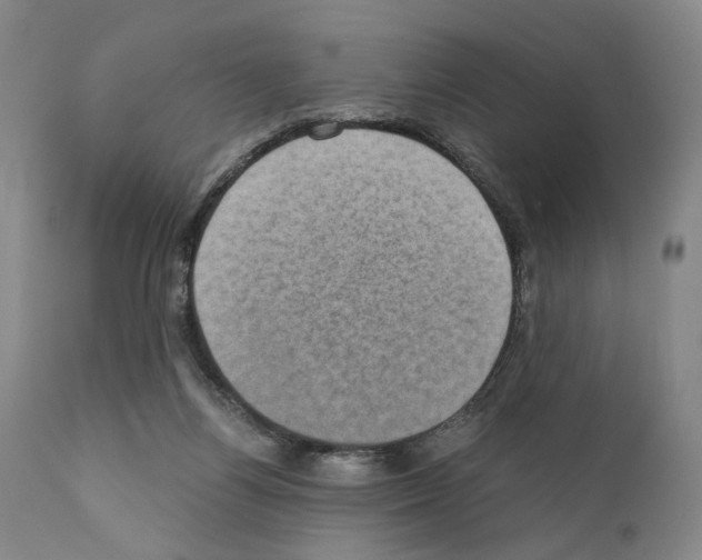 X0000110890164200907301551