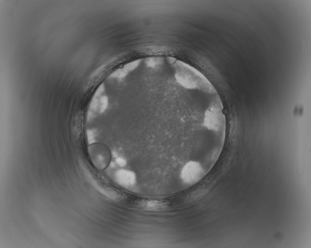 X0000110890165200907301551