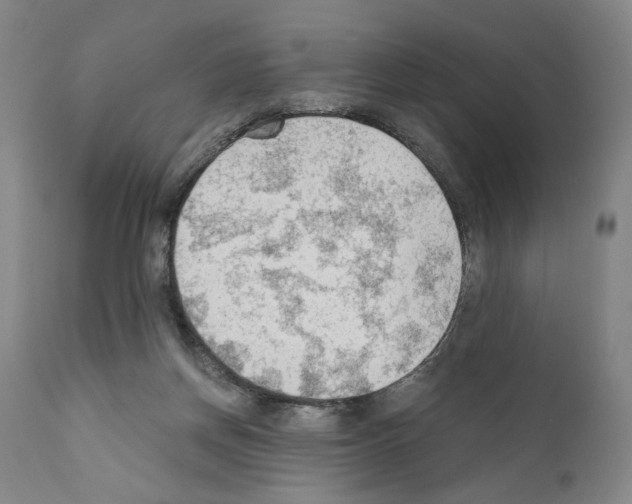 X0000110890166200907301551