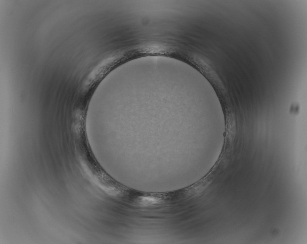 X0000110890167200907301551