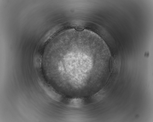 X0000110890168200907301551