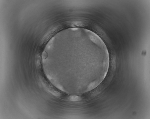 X0000110890169200907301551