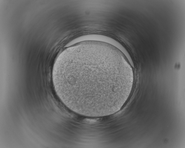 X0000110890170200907301551