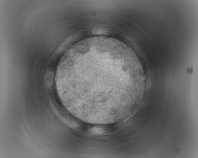 X0000110890171200907301551
