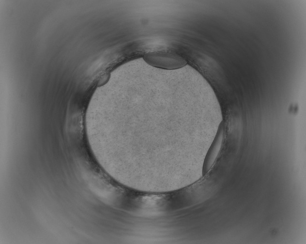 X0000110890172200907301551