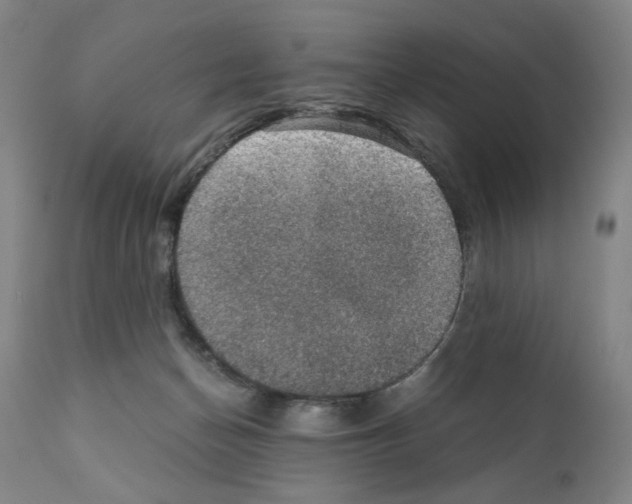 X0000110890174200907301551