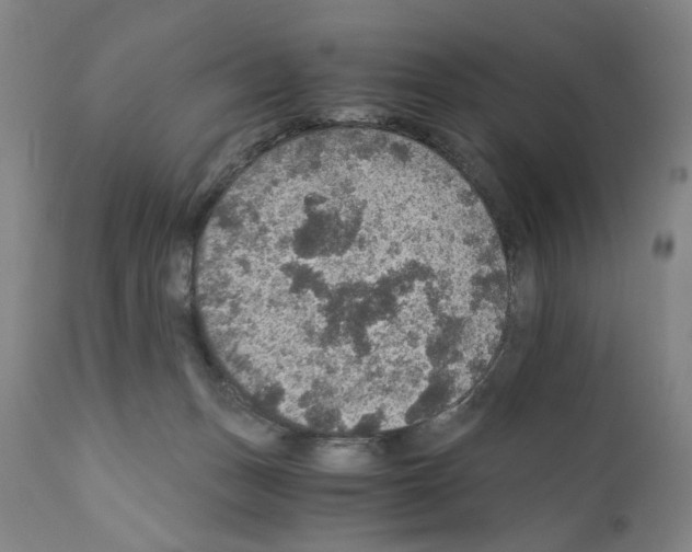 X0000110890175200907301551