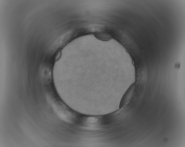 X0000110890176200907301551