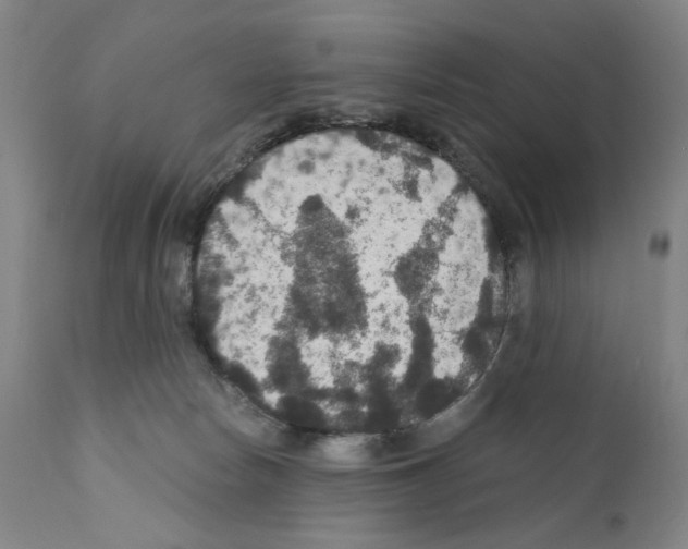 X0000110890178200907301551