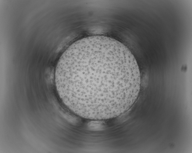 X0000110890179200907301551