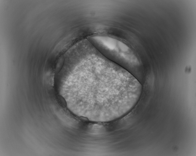 X0000110890180200907301551