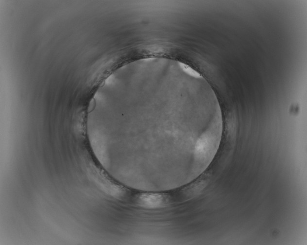 X0000110890181200907301551