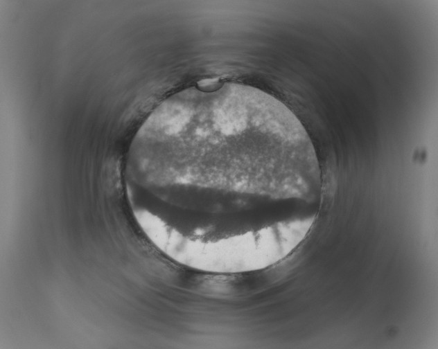 X0000110890182200907301551