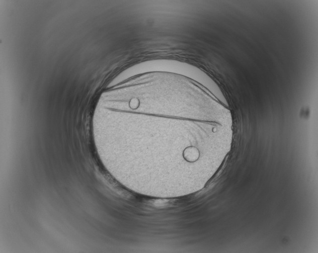 X0000110890184200907301551