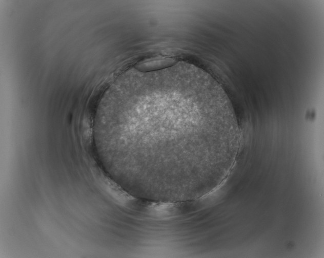 X0000110890186200907301551