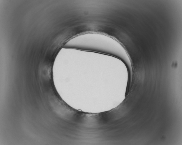 X0000110890188200907301551