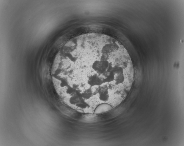 X0000110890189200907301551