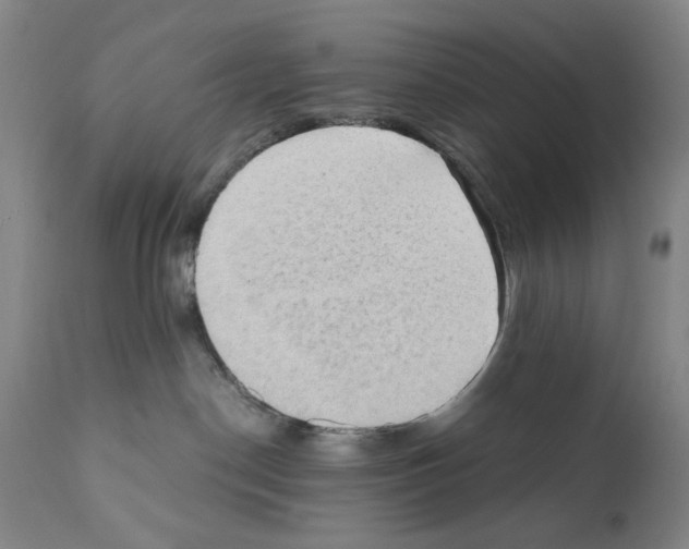 X0000110890190200907301551
