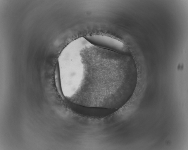 X0000110890192200907301551