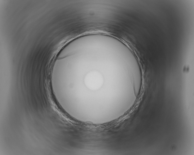 X0000110890193200907301551
