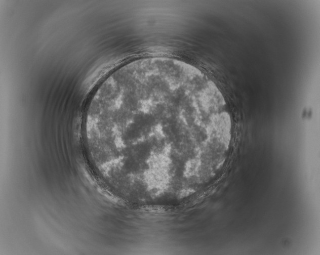 X0000110890194200907301551