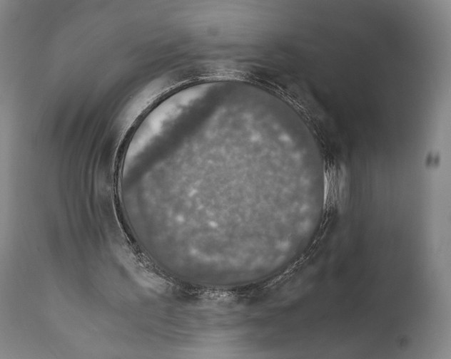 X0000110890195200907301551