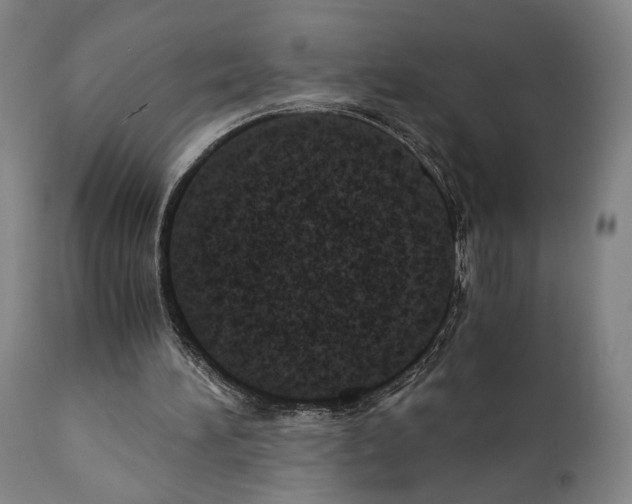 X0000110890196200907301551