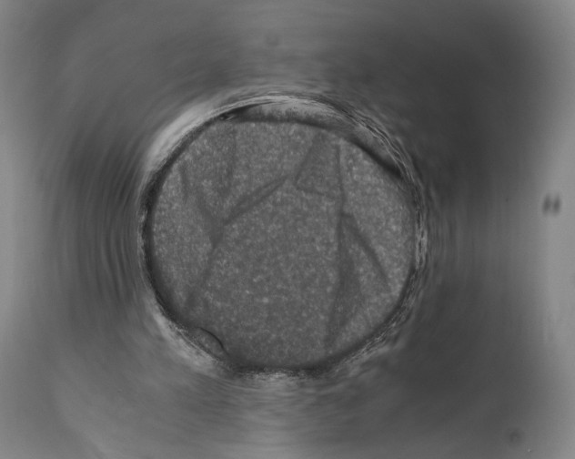 X0000110890197200907301551
