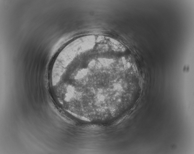 X0000110890198200907301551