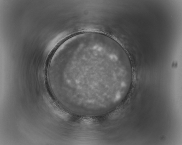 X0000110890199200907301551