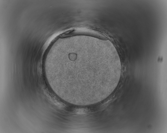 X0000110890200200907301551