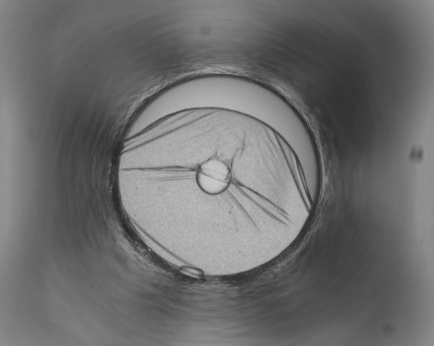 X0000110890201200907301550