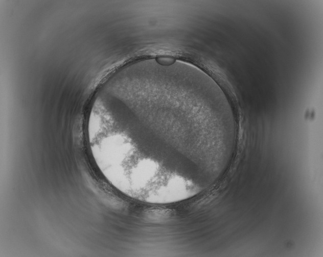 X0000110890202200907301550