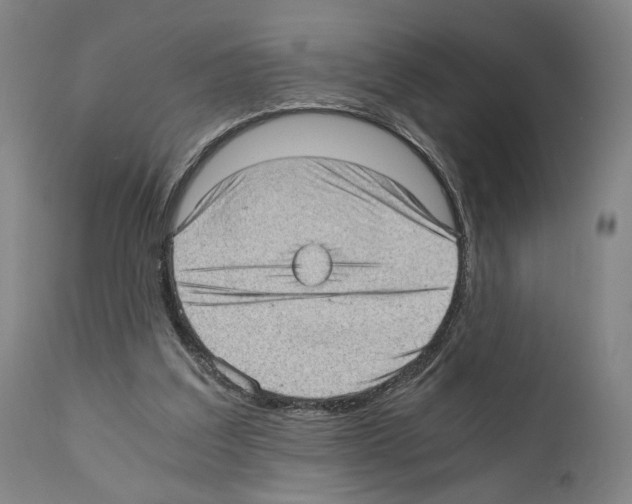 X0000110890203200907301550