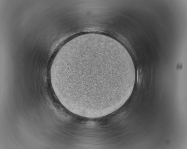 X0000110890204200907301550
