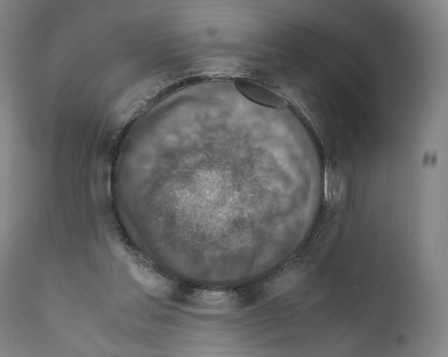 X0000110890205200907301550