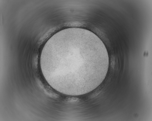 X0000110890206200907301550