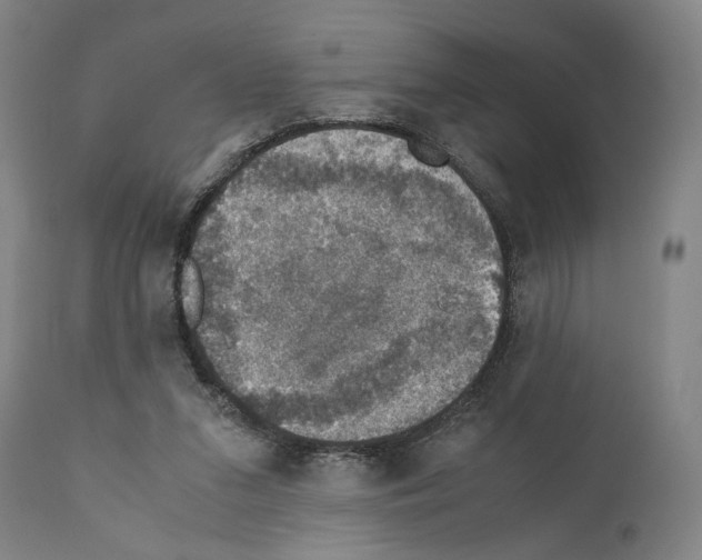 X0000110890207200907301550