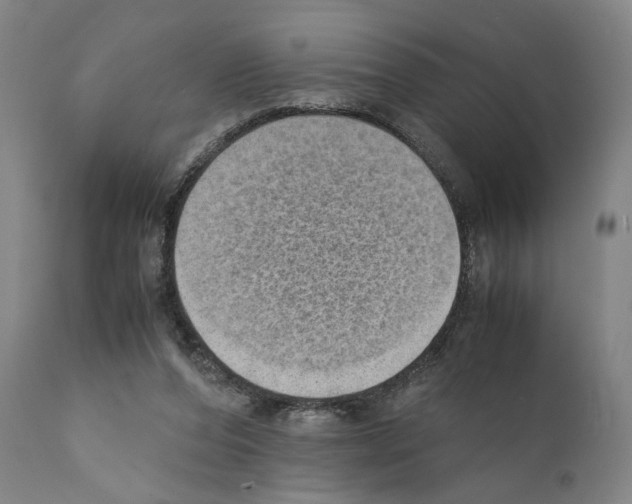 X0000110890208200907301550