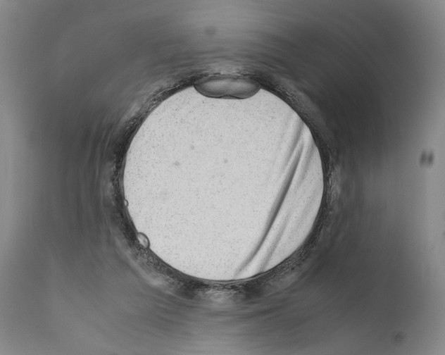 X0000110890209200907301550