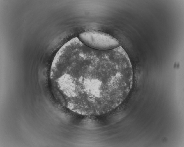 X0000110890211200907301550