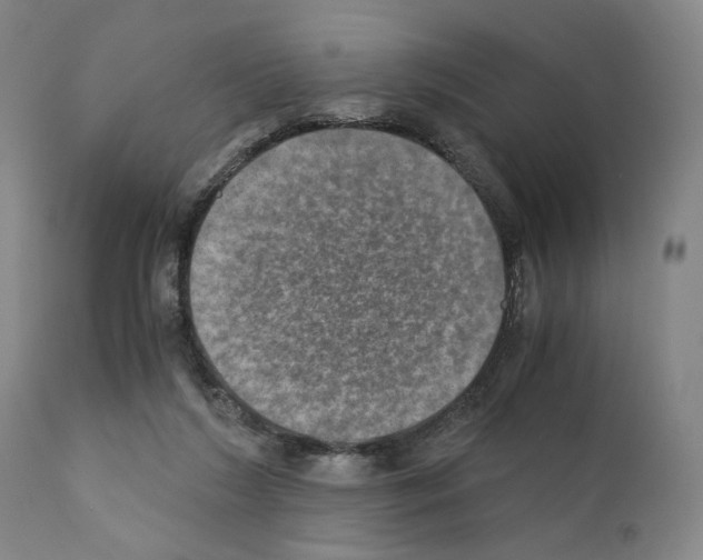 X0000110890212200907301550